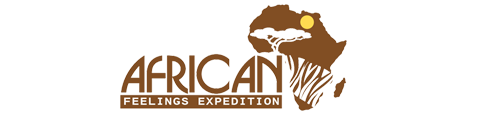 African Feelings Expeditions Logo